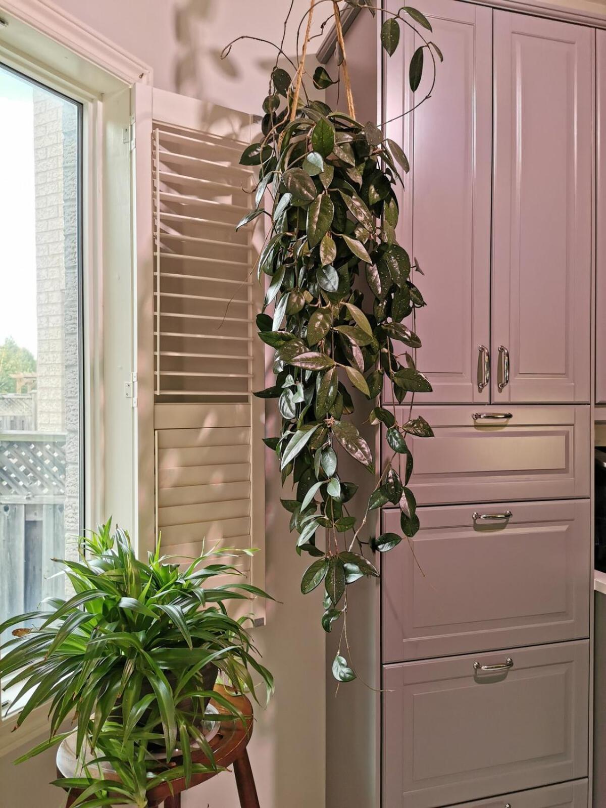 4 Bedroom 3 Washroom Charming Home In Markham With Warm Cozy Vibe Buitenkant foto